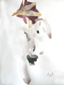 noel o callaghan berlin